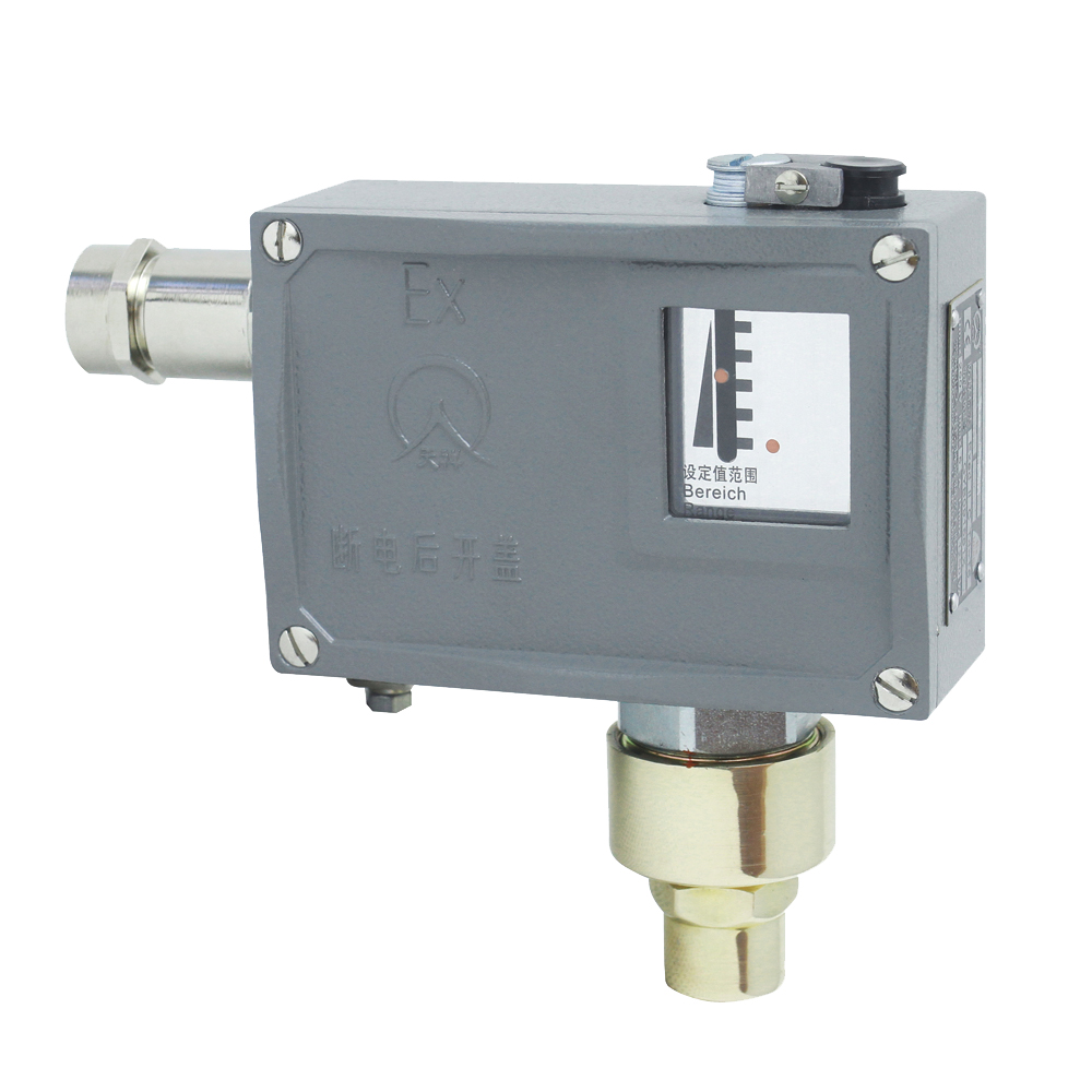 502/7D防爆壓力開(kāi)關(guān) 502/7D防爆壓力開(kāi)關(guān)